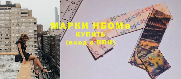 СК Алексин