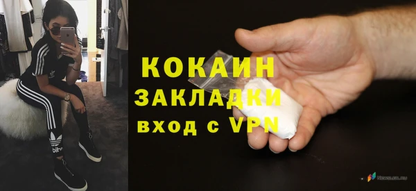 СК Алексин