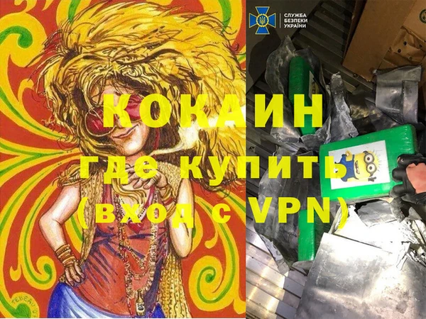 СК Алексин