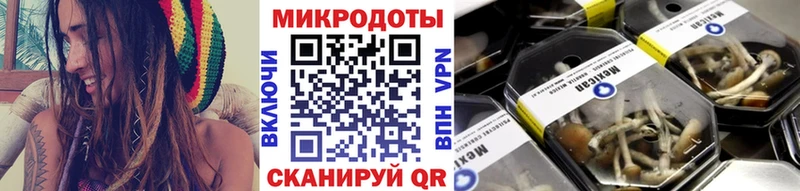 Купить где  Краснообск  Псилоцибиновые грибы MAGIC MUSHROOMS 